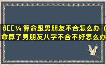 🐼 算命跟男朋友不合怎么办（算命算了男朋友八字不合不好怎么办）